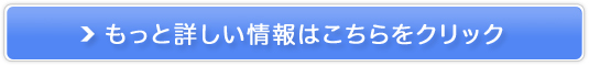 fTvȗfv̔TCg
